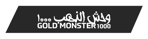 Erzincan Minelab Gold Monster 1000 - Gold Monster 1000 küçük altın dedektörü